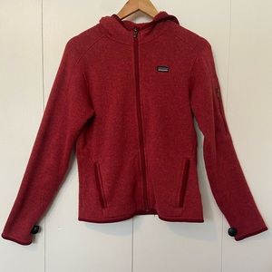 Patagonia Hooded Zip Up Fleece